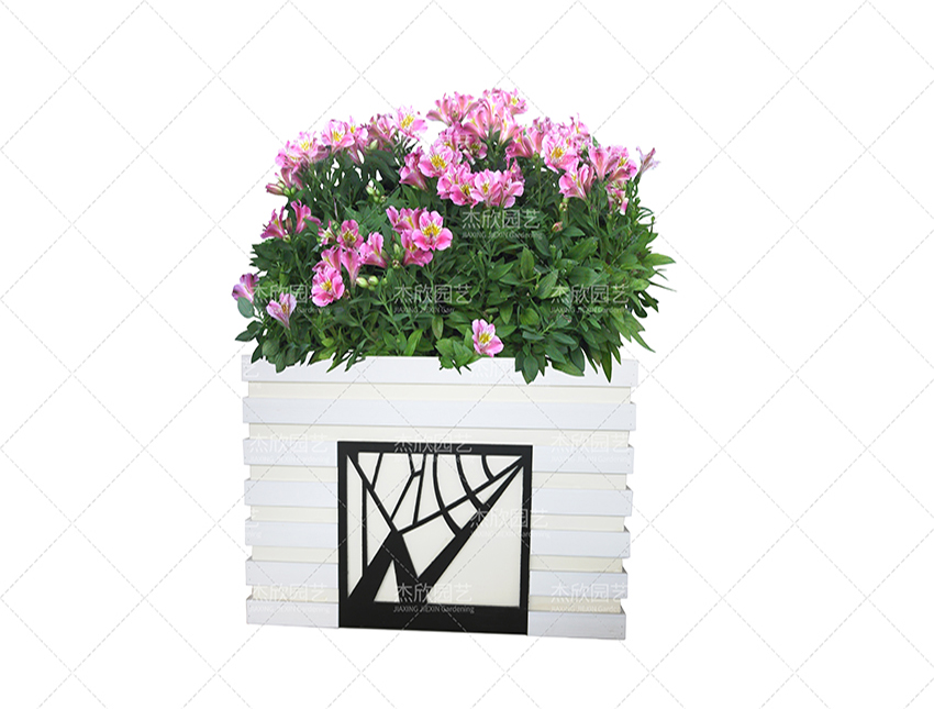 組合花箱中有哪些創(chuàng)意款式？